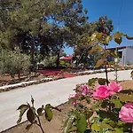 Bay * Pefkari