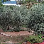 Apartamento Bay Pefkari