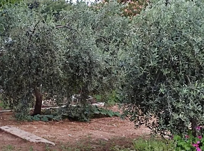 Διαμέρισμα Bay Πευκάρι