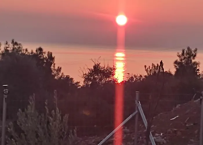 Bay * Πευκάρι