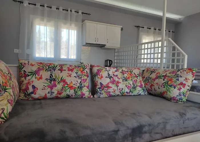 Bay * Πευκάρι